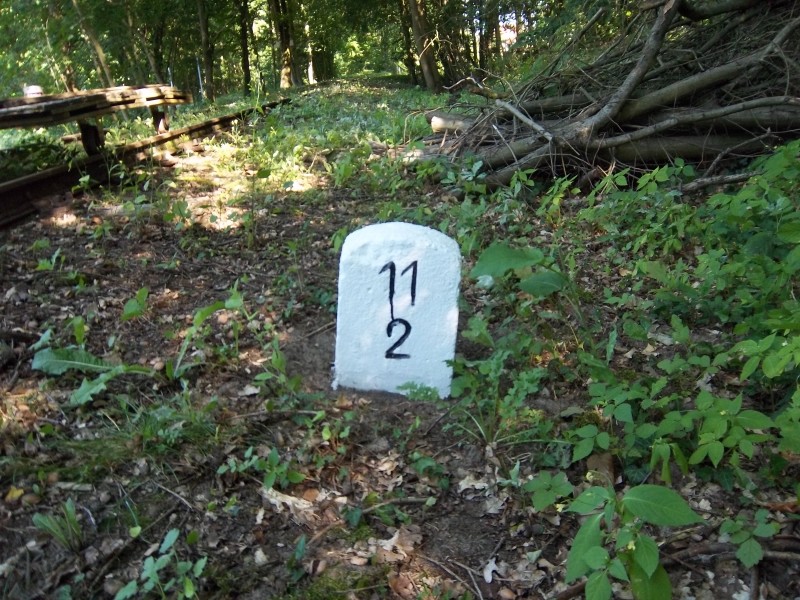ZWNEGI19